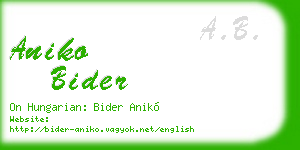 aniko bider business card